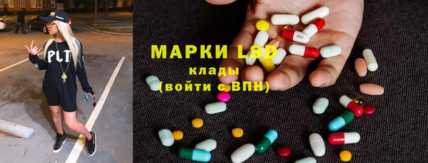 эйфоретик Алзамай