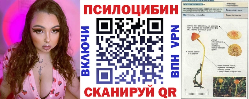 Псилоцибиновые грибы Psilocybine cubensis  площадка формула  Апатиты 